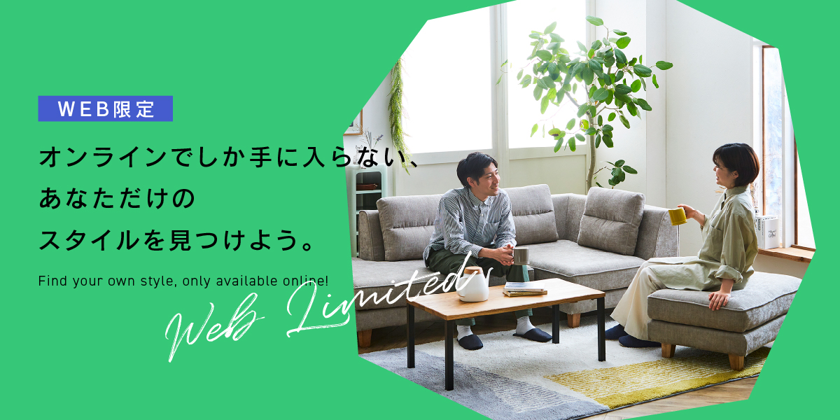 WEB限定モデル