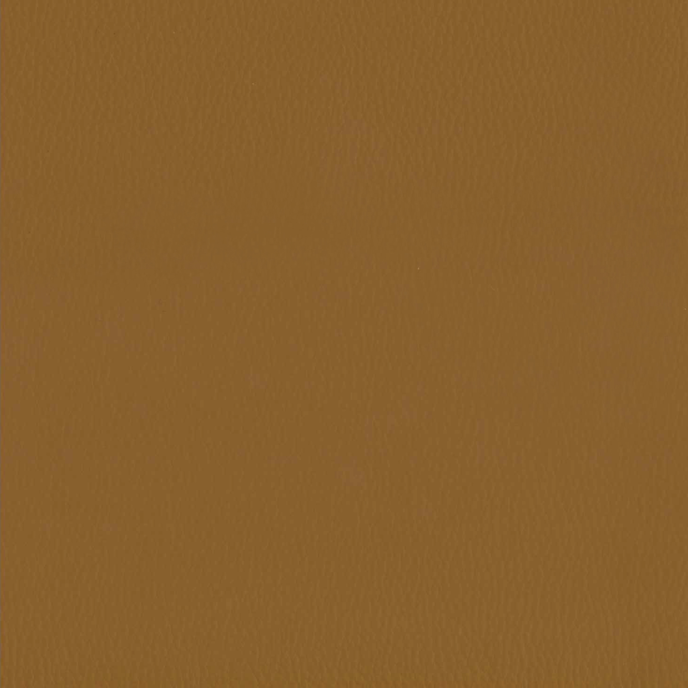 グレイスキャメル