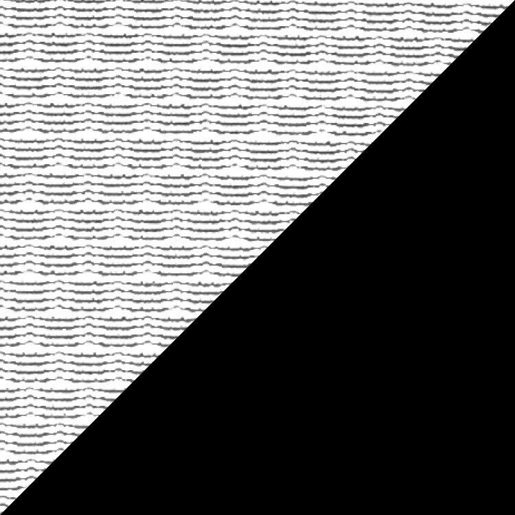 ホワイト×ブラック