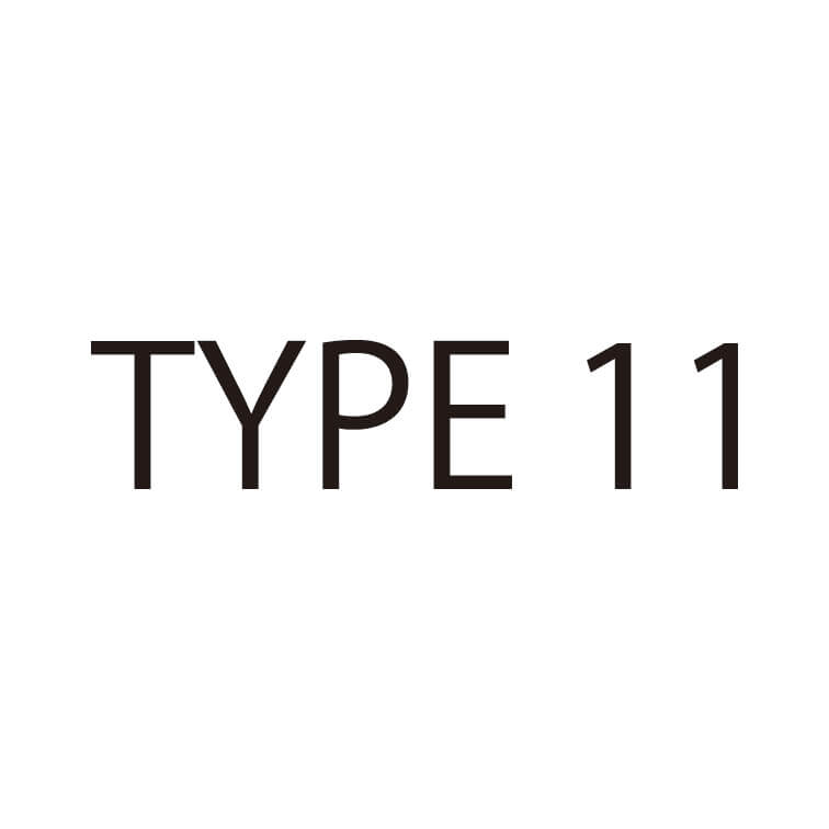 TYPE１１