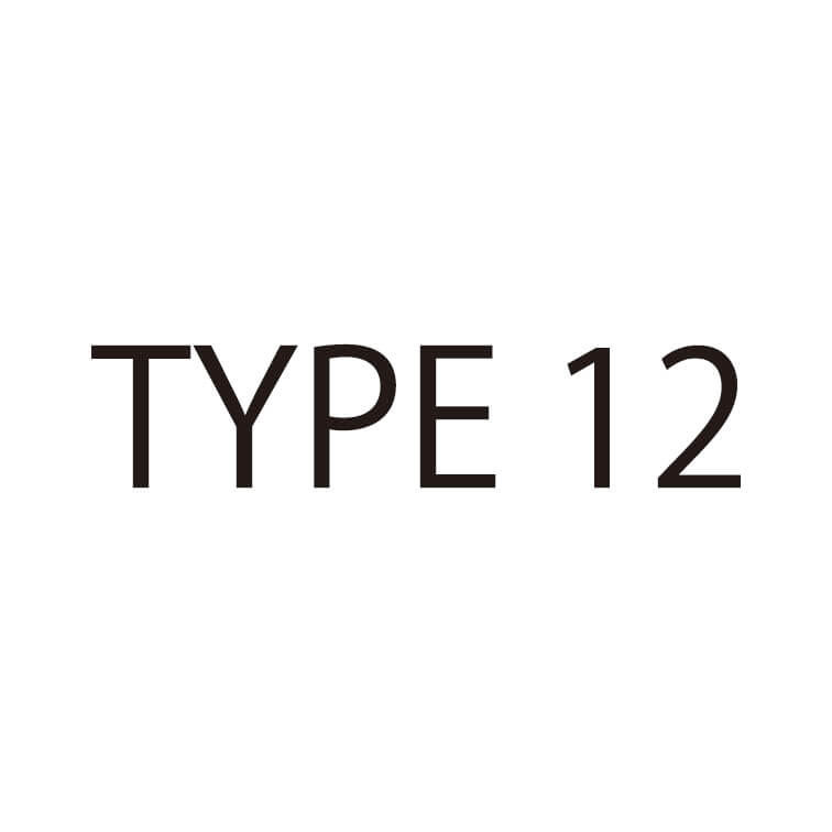 TYPE１２