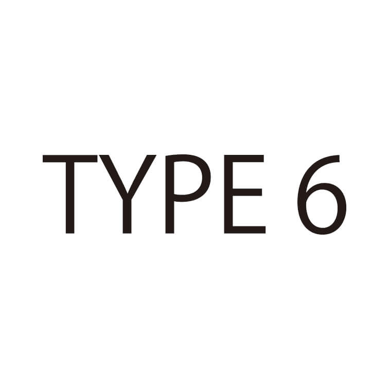 TYPE６