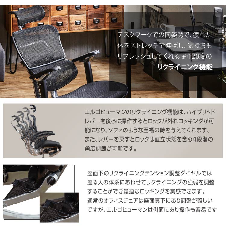 エルゴヒューマン ベーシック オフ ィスチェア グリーン ヘッドレスト付き 3Dフ その他