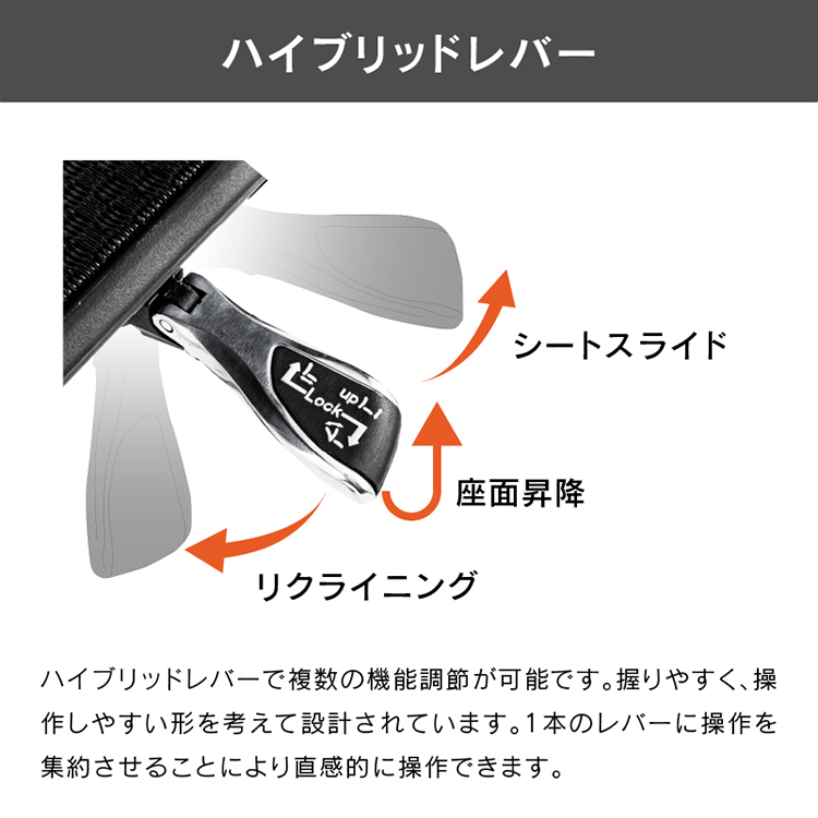 関家具 エルゴヒューマン オフィスチェア おしゃれ 疲れにくい リモート 在宅 EHP2-LAM エルゴヒューマンプロ2ロータイプ Ergohuman  関家具 宅配便（軒先） オフィスチェア