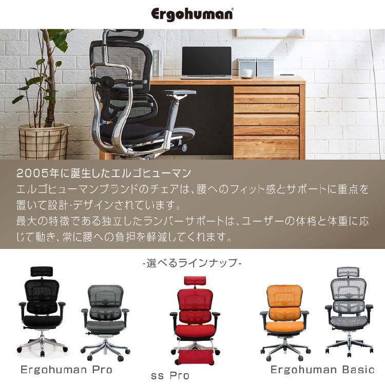 Ergohuman PRO ハンガー付　クッションシート