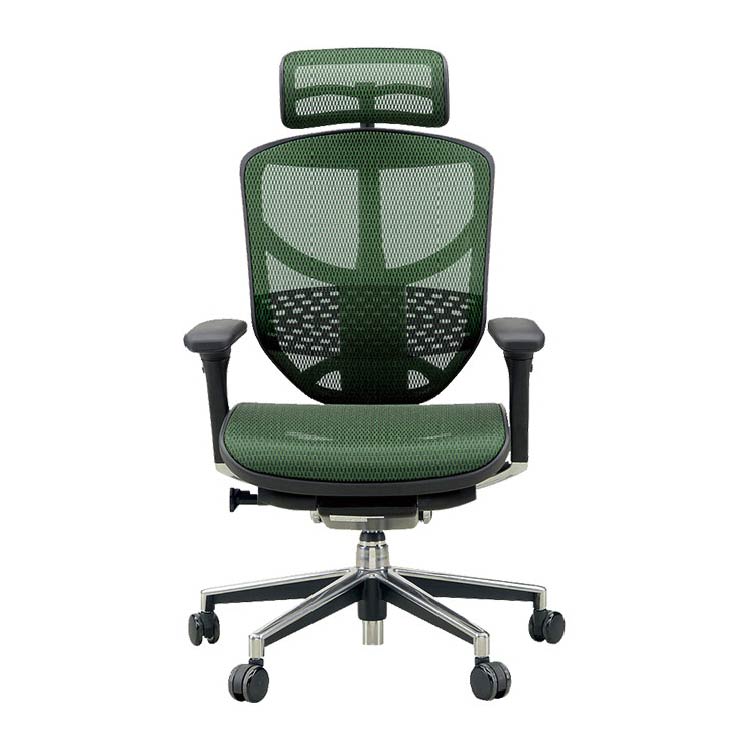 エルゴヒューマン エンジョイ オールメッシュ ヘッドレストあり グリーン