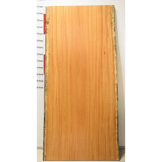 一枚板 アパ 598-1/3-11 (W220cm) アウトレット品 ダイニング