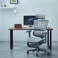 エルゴヒューマン FIT2 Lite オフィスチェア 高機能チェア オットマン付